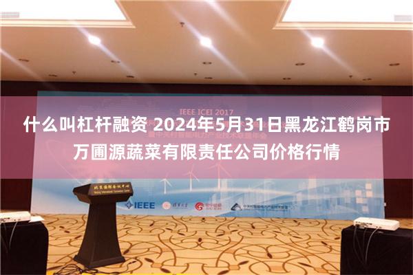 什么叫杠杆融资 2024年5月31日黑龙江鹤岗市万圃源蔬菜有限责任公司价格行情