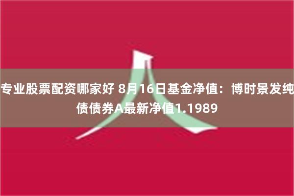 专业股票配资哪家好 8月16日基金净值：博时景发纯债债券A最新净值1.1989