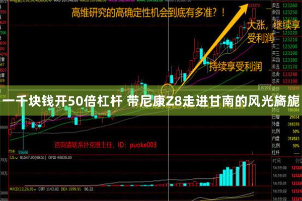 一千块钱开50倍杠杆 带尼康Z8走进甘南的风光旖旎