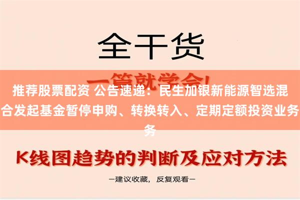 推荐股票配资 公告速递：民生加银新能源智选混合发起基金暂停申购、转换转入、定期定额投资业务