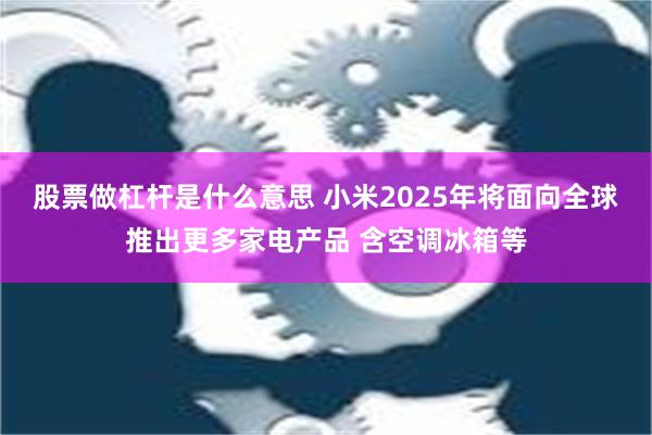 股票做杠杆是什么意思 小米2025年将面向全球推出更多家电产品 含空调冰箱等