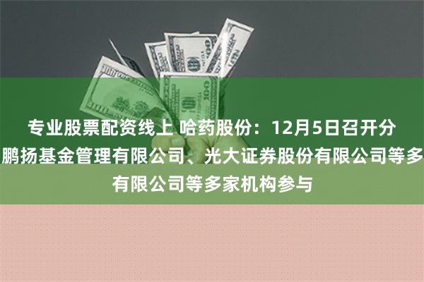 专业股票配资线上 哈药股份：12月5日召开分析师会议，鹏扬基金管理有限公司、光大证券股份有限公司等多家机构参与