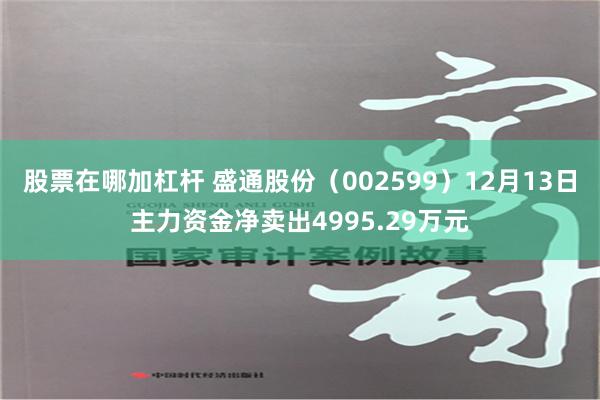 股票在哪加杠杆 盛通股份（002599）12月13日主力资金净卖出4995.29万元