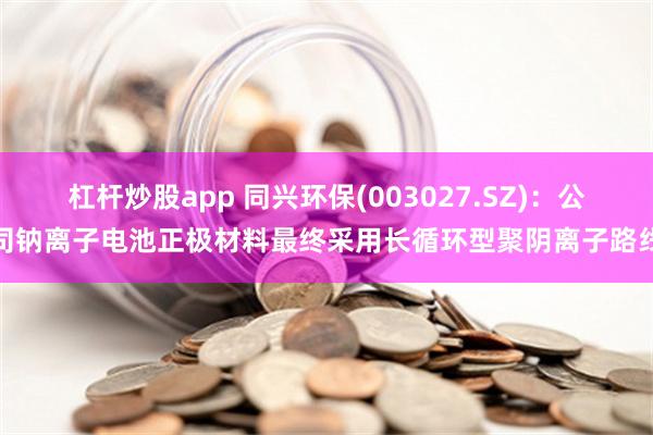 杠杆炒股app 同兴环保(003027.SZ)：公司钠离子电池正极材料最终采用长循环型聚阴离子路线