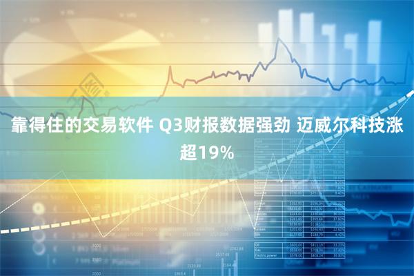 靠得住的交易软件 Q3财报数据强劲 迈威尔科技涨超19%