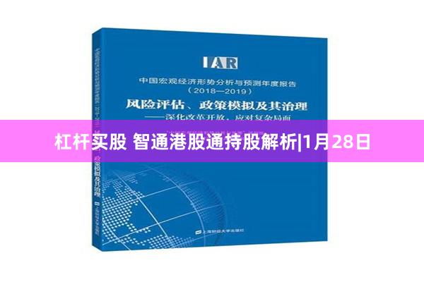 杠杆买股 智通港股通持股解析|1月28日