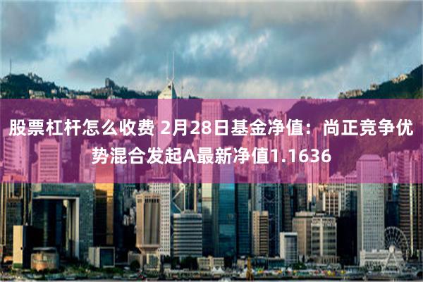 股票杠杆怎么收费 2月28日基金净值：尚正竞争优势混合发起A最新净值1.1636